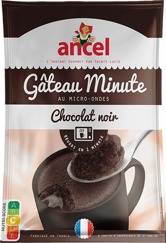 Gâteau minute au chocolat noir